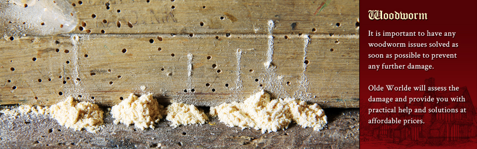 Woodworm treatment specialists